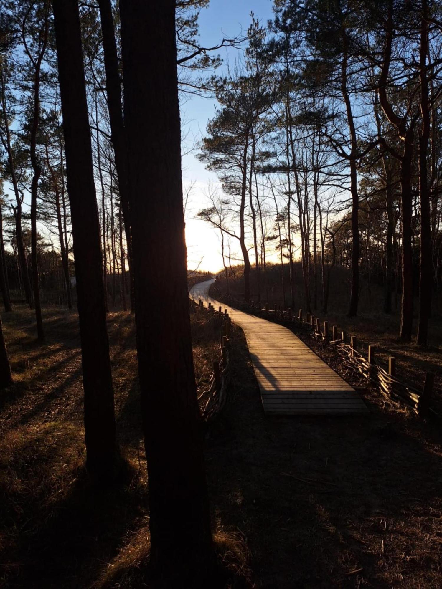 Gintarautojai Hotell Palanga Exteriör bild
